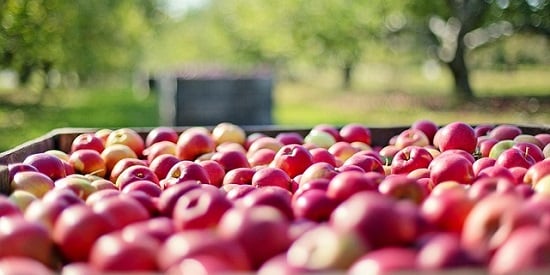 Buying local fruit and veg in regional Victoria isn't more expensive