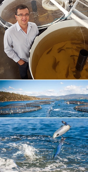 Salmon researcher, Dr Luis Afonso.
Centre: A Tassal salmon farm in the Tasmanian ocean. 