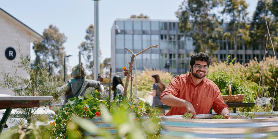 https://www.deakin.edu.au/__data/assets/image/0004/2387281/27192_950x475_student_in_garden.jpg