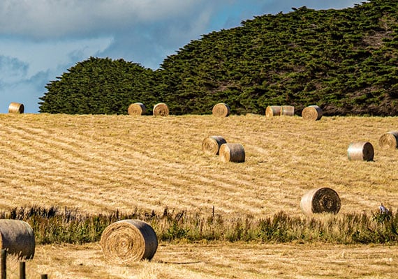 Victorian Drought Hub 