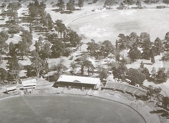 Bringing Geelong's sporting past to life