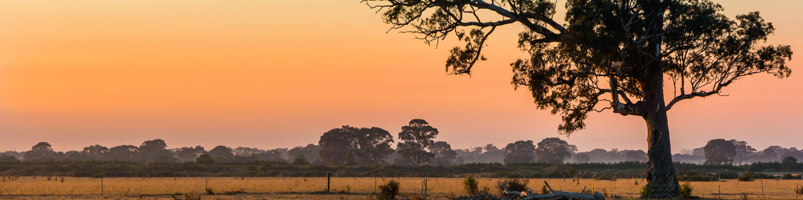 https://www.deakin.edu.au/__data/assets/image/0004/2860078/38197_1600x400_ARRRC_banner.jpg