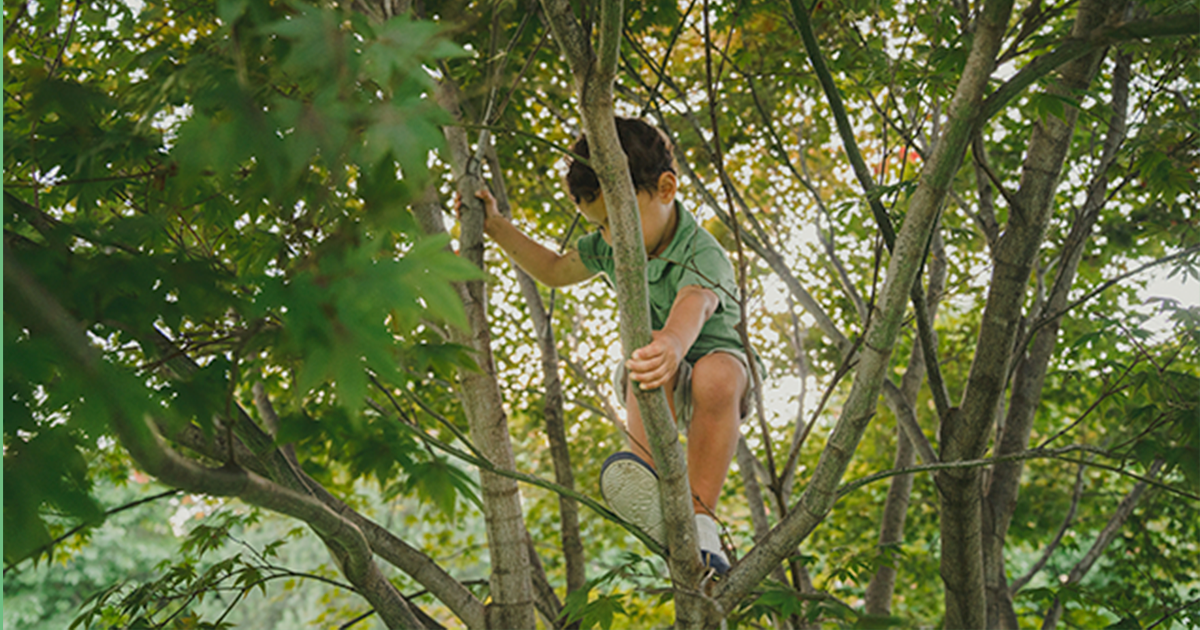 Risky Outdoor Play Can Boost Science Education 