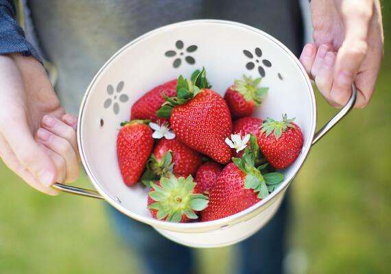 Understand key sensory attributes of strawberries 