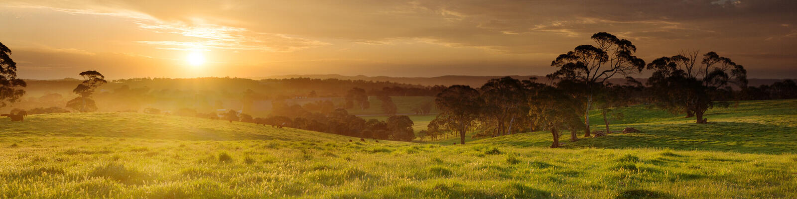 https://www.deakin.edu.au/__data/assets/image/0009/2857455/11358_1600x400_rural_landscape.jpg