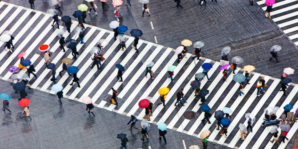 https://www.deakin.edu.au/__data/assets/image/0010/2381149/11340_950x475_zebra_crossing.jpg