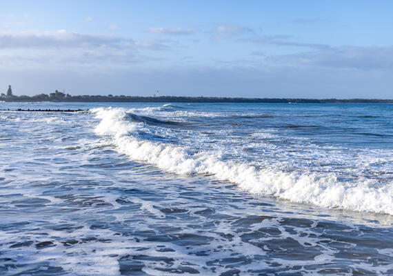 The Victorian Coastal Monitoring Project