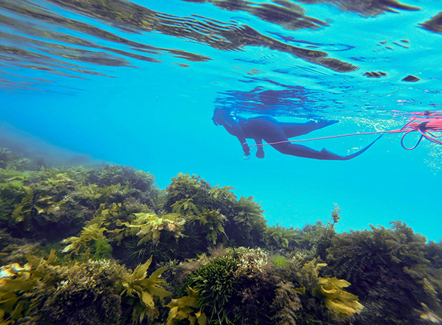 Kaylah Gawne snorkelling off St Leonards Pier