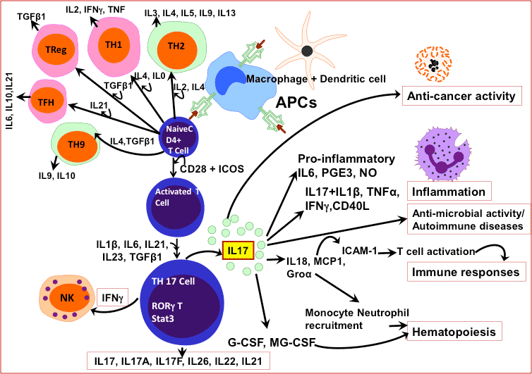 Nanomedicine-Immunology and Molecular Biomedical Research